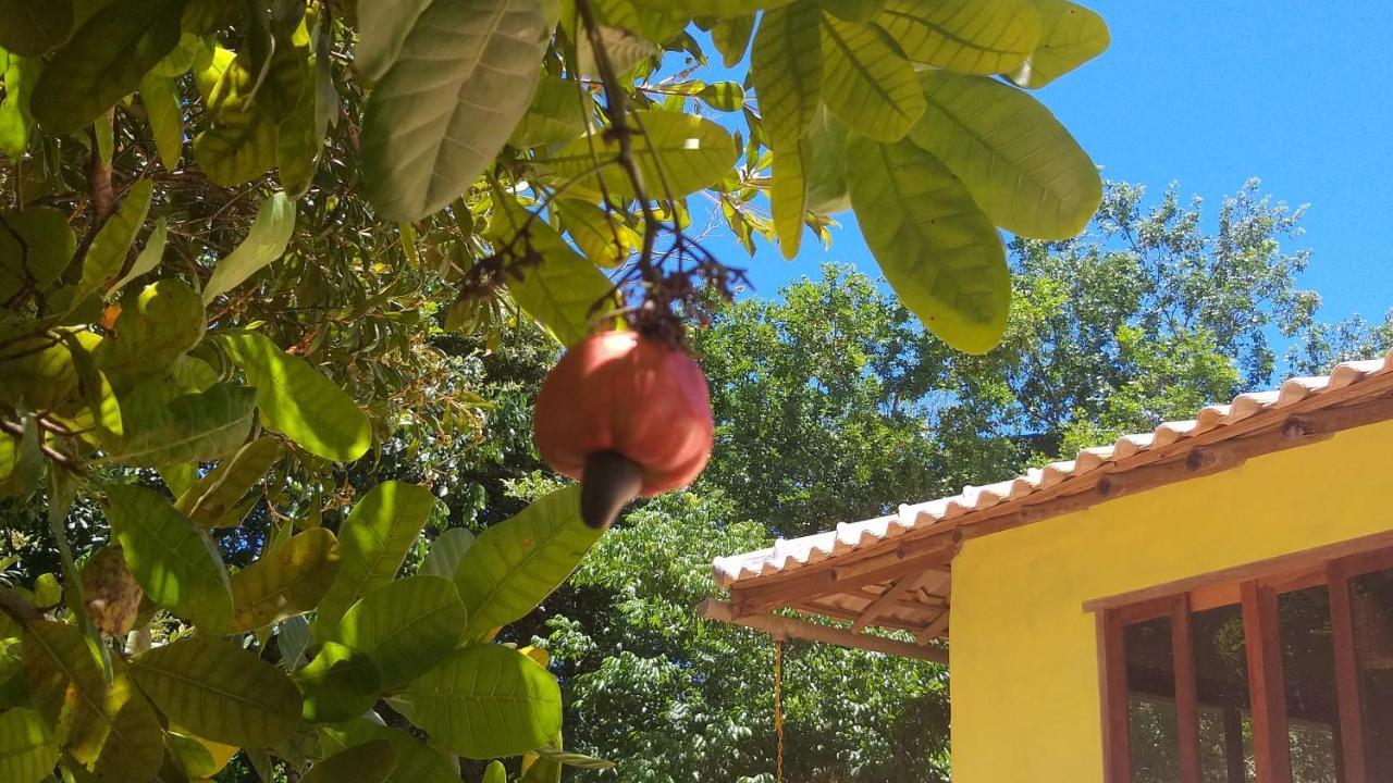 Vila Casa Som Do Mar - Trancoso Exteriér fotografie